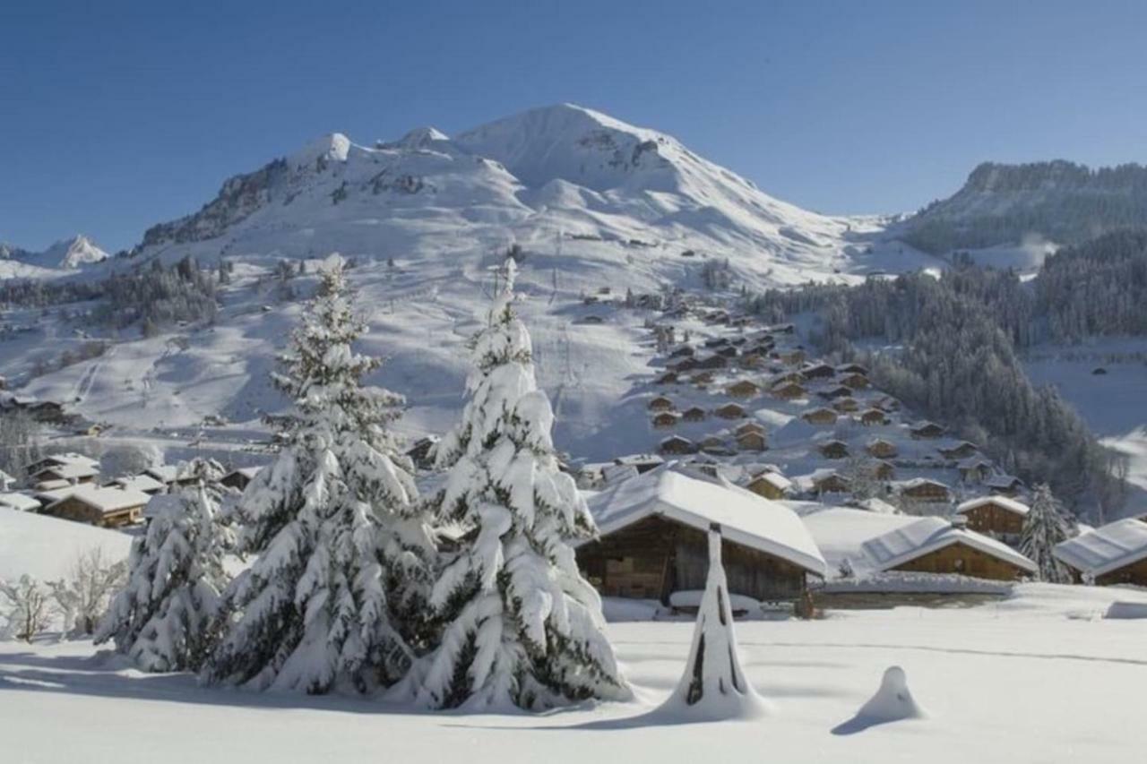 Bel Appartement Avec Vue Exceptionnelle Le Grand-Bornand Dış mekan fotoğraf