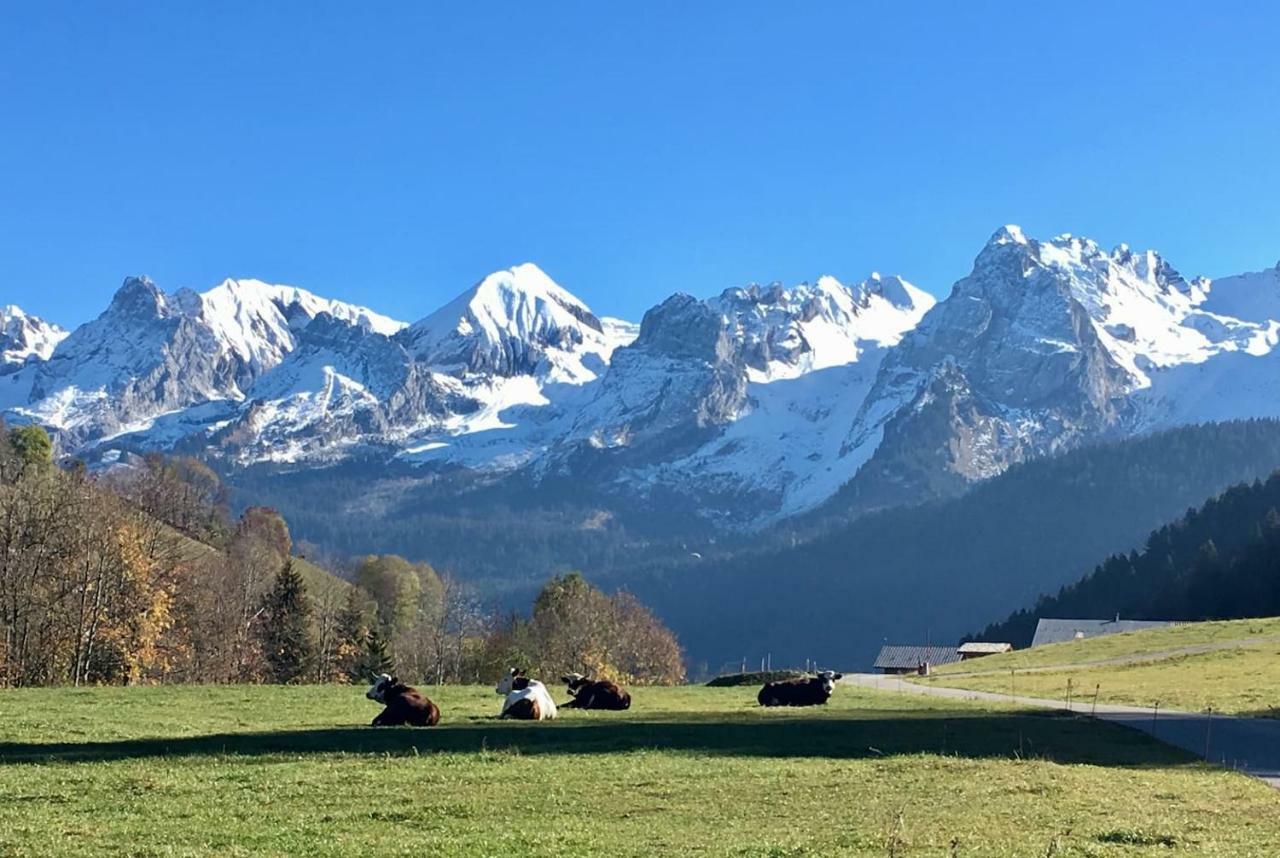 Bel Appartement Avec Vue Exceptionnelle Le Grand-Bornand Dış mekan fotoğraf